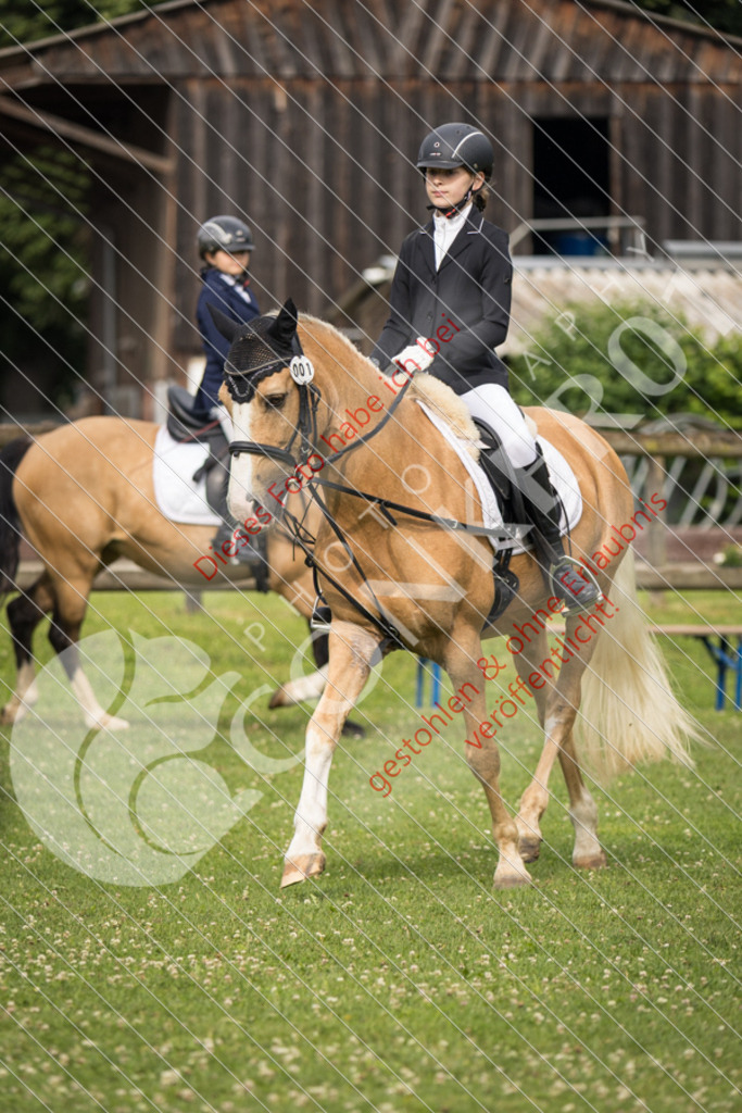 IMG_1565 | Sport-, Event- und Tierfotos in Profiqualität. Einfach auswählen, bestellen und herunterladen. Dein Moment – perfekt festgehalten.