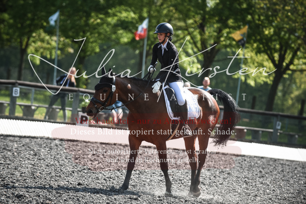 DSC_8940 | Pferde- und Turnierfotografie in Westsachsen. Pferdeportraits, Auftragszeichnungen und intuitive Kunst.