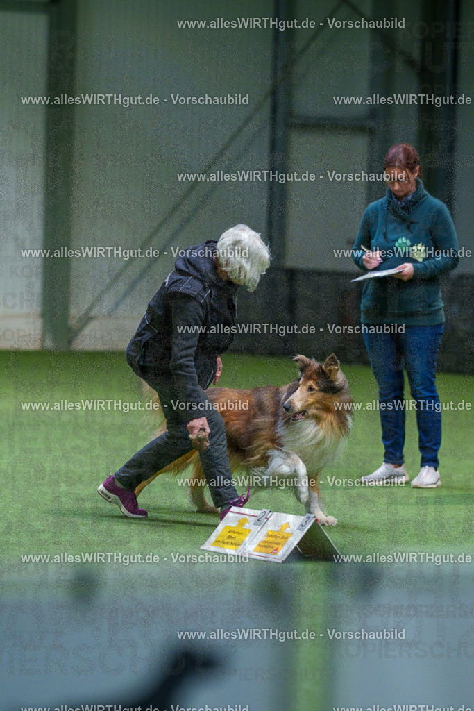 7R506271 | Professionelle Tierfotografie in Mönchengladbach von Daniel Wirth (allesWIRTHgut). Liebevolle & natürliche Bilder von Hunden & Katzen für unvergessliche Erinnerungen.