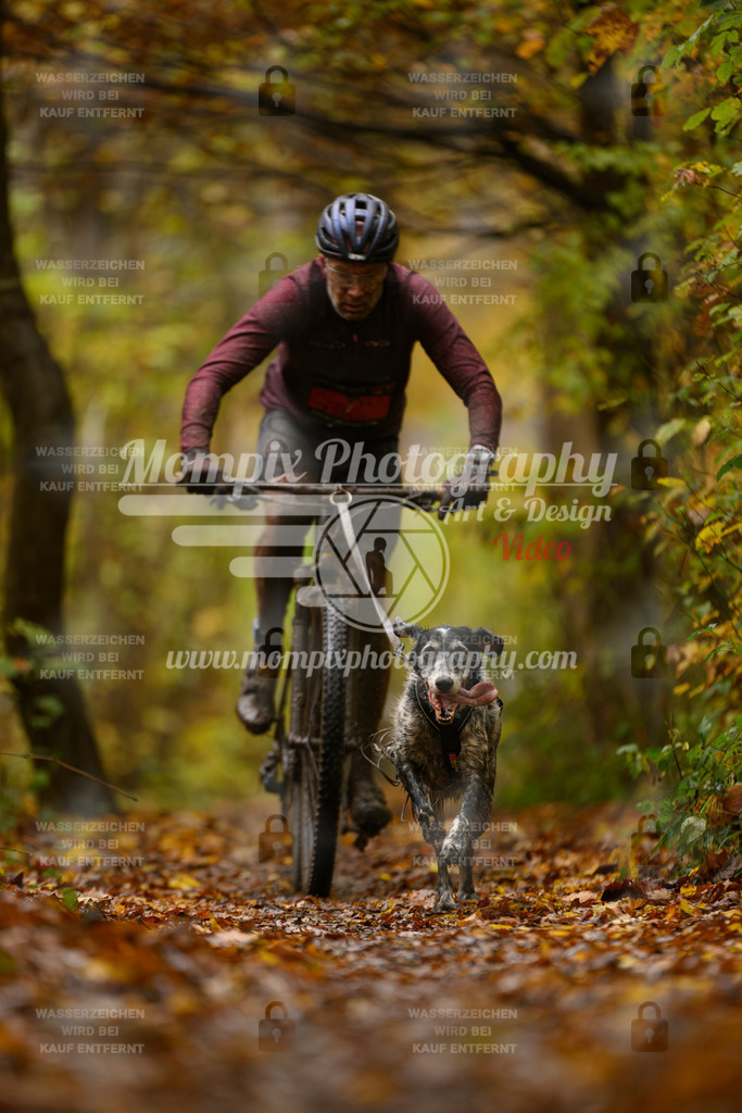 MompixPhotography_CD7S_DI_Bike-87 | mompixphotography