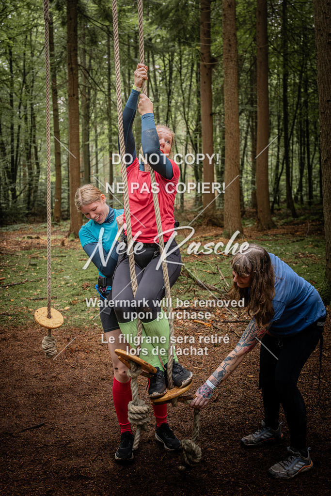 nelerasche_SoWingst1130-1230_21 | nelerasche