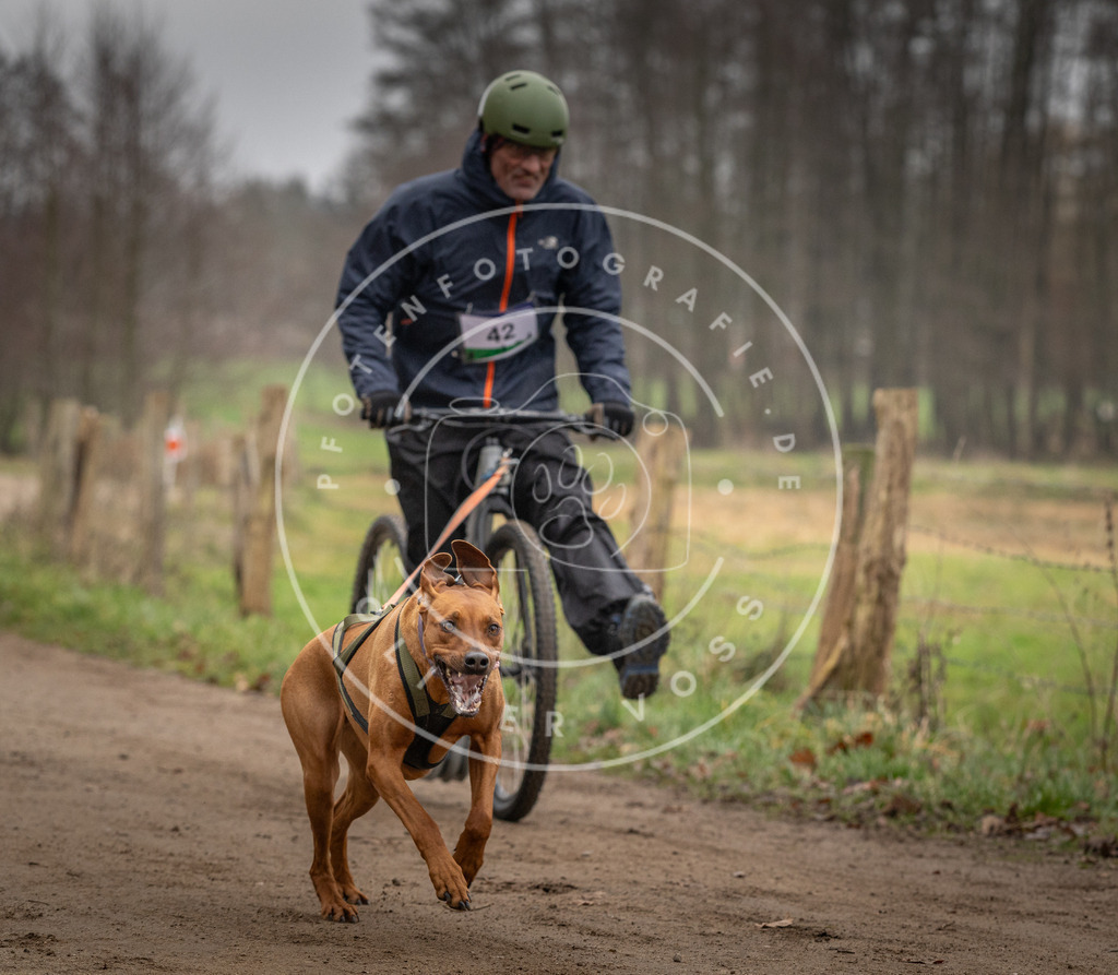 Pfotenfotografie_DV3A2630 | Hundefotografie, Tierfotograf, Pfotenfotografie, Fotoshooting Hund, Hunde Portrait, Hundesport, Hundeportraits, Heideshooting, Hunde, Sportfotograf, Hundefotograf, Turnierhundsport, THS,  - Realisiert mit Pictrs.com