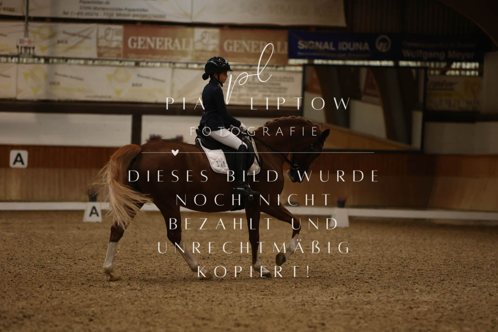 IMGM9135 | pl-fotografie