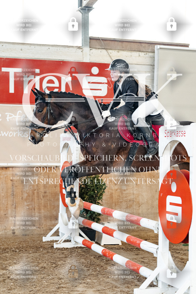 CK904516 | Turnierfotografie Pferdefotografie Trier Rheinland-Pfalz Pferdesport Reitsport Tierfotografie Sportfotografie Pferdevideo Pferdevideografie Equestrianvideography equestrianphotography  - Realized with Pictrs.com