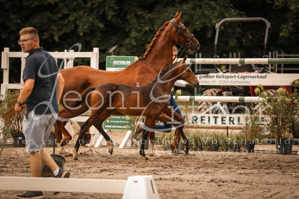 SaPA00308 | Leoni Ertmer Photography - Realisiert mit Pictrs.com