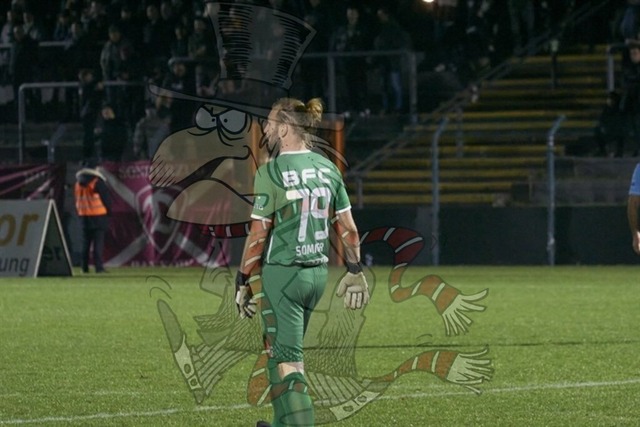 BFC Dynamo vs. FC Viktoria 89 017 | mythos-online-redaktion