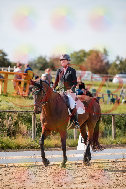 2026_10_03_Siefer-Hof_122638_Z63_46966952 | Professionelle Reitsport-, Turnier- und Eventfotografie von Robert Broda. Galerien mit ausgewählten und bearbeiteten Bildern direkt online ansehen und bestellen.