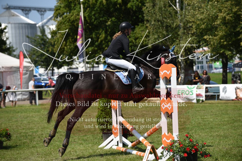 DSC_0037 | Pferde- und Turnierfotografie in Westsachsen. Pferdeportraits, Auftragszeichnungen und intuitive Kunst.