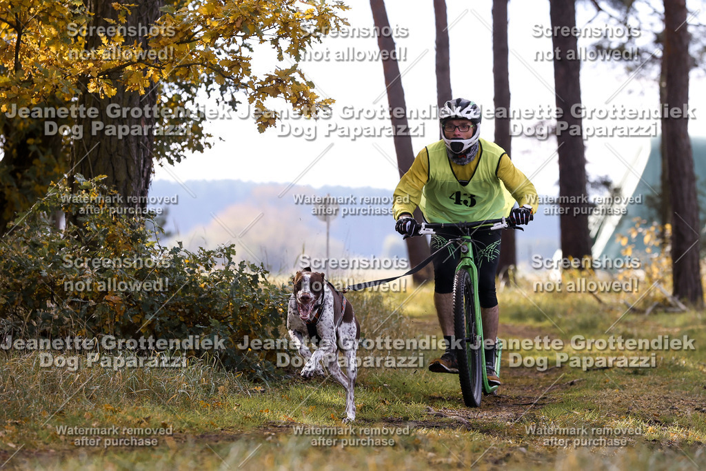 Dog Paparazzi - Elsholz 25 -169 | Dog Paparazzi Jeanette Grottendiek Fotografie & Videografie - Realisiert mit Pictrs.com
