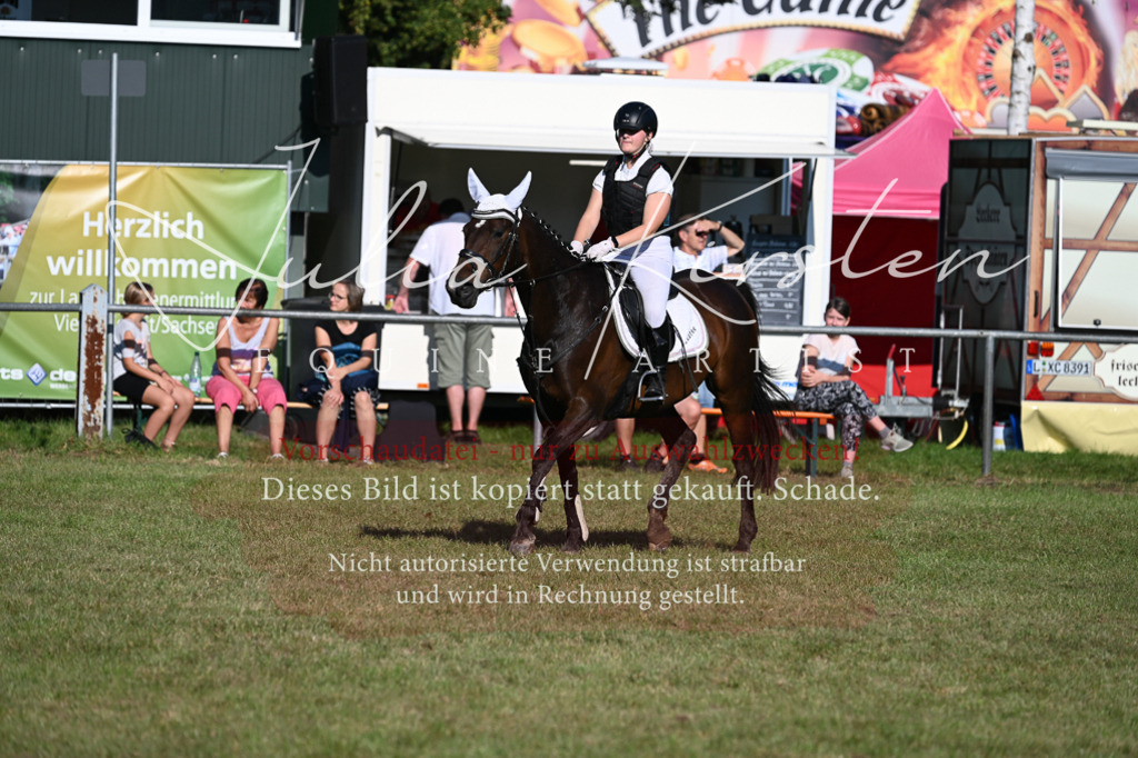DSC_4983 | Pferde- und Turnierfotografie in Westsachsen. Pferdeportraits, Auftragszeichnungen und intuitive Kunst.