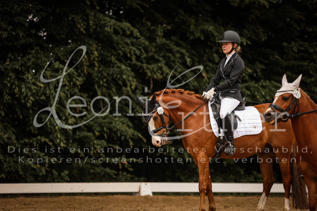 DoDrE00520 | Leoni Ertmer Photography - Realisiert mit Pictrs.com