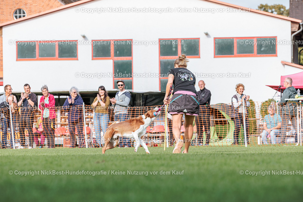 BSP Hoopers-H3-2026-Nickbest-Hundefotografie-TuS Komet Arsten e.V.--9 | Dein Hund! Dein Moment! Deine Erinnerungen! Hundefotografie in Bremen Blumenthal. Ich fange die besonderen Momente deines Vierbeiners ein – ob Indoor mit Blitzanlage oder in der freien Natur. Sicher dir dein Moment und dein Termin für eure Erinnerungen.
