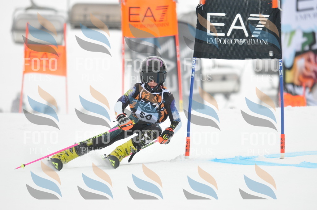 DSC_7707 | holidayphoto