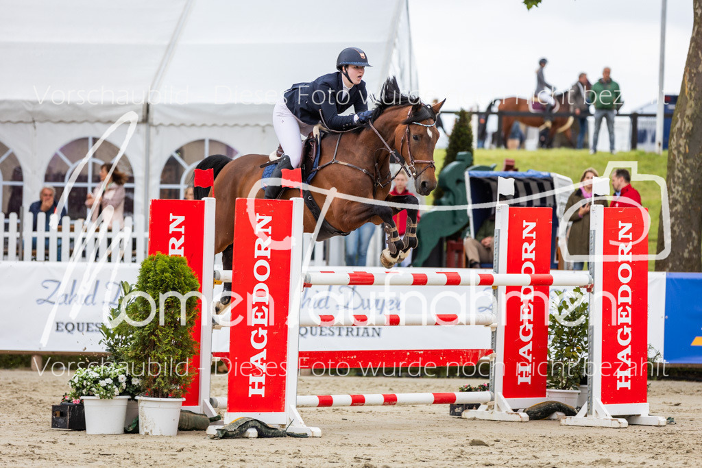 BHO-2PhSpr-M-5-2111 | MomenTaufnahmen Pferdesportfotos