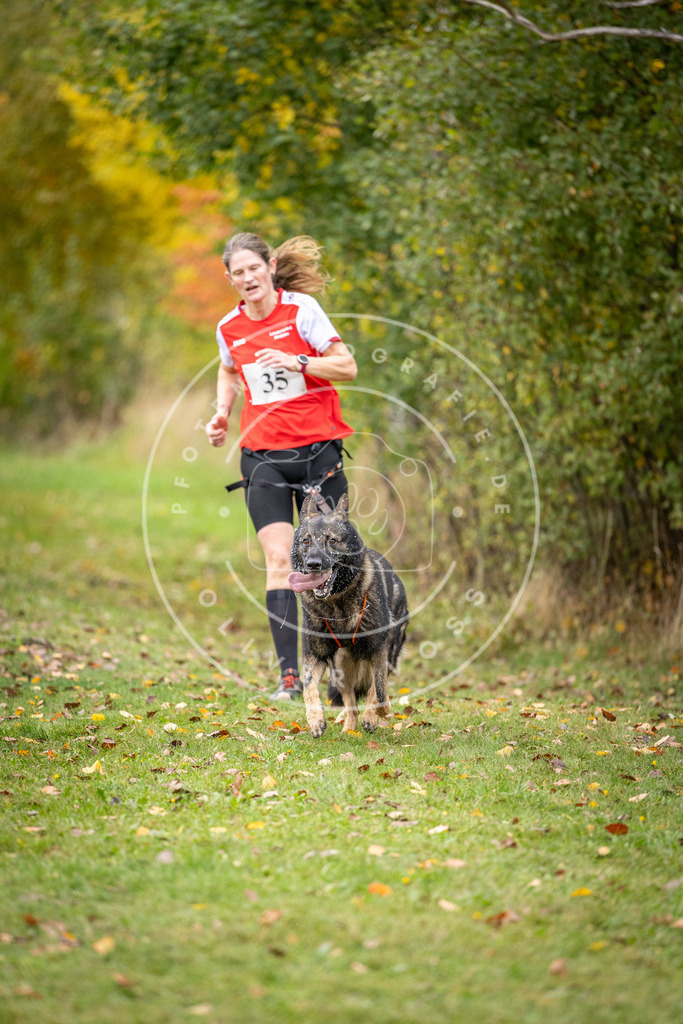 Pfotenfotografie_DV3A2211 | Hundefotografie, Tierfotograf, Pfotenfotografie, Fotoshooting Hund, Hunde Portrait, Hundesport, Hundeportraits, Heideshooting, Hunde, Sportfotograf, Hundefotograf, Turnierhundsport, THS,  - Realisiert mit Pictrs.com