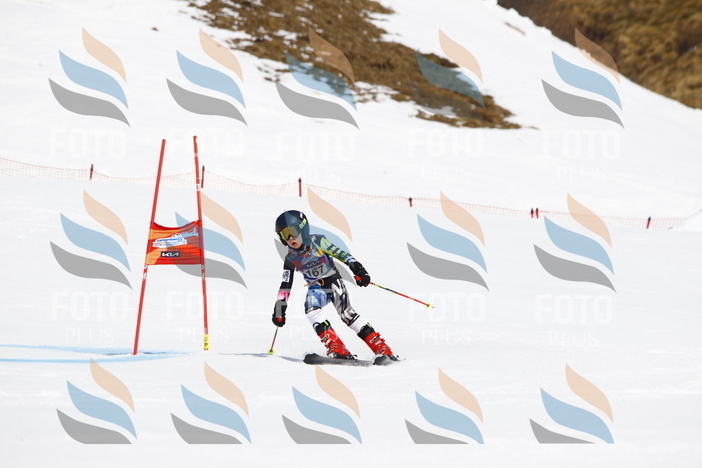 _U3G4472 | holidayphoto