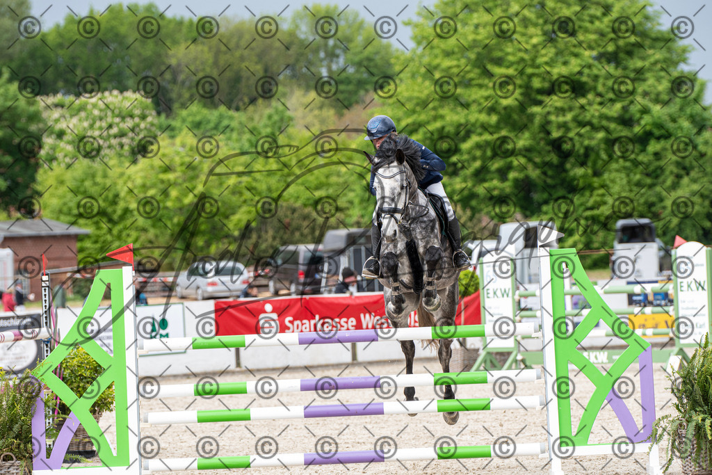 KPT_9836 | andre_photographic