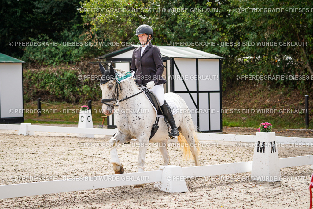 DSC02423 | Pferdegrafie