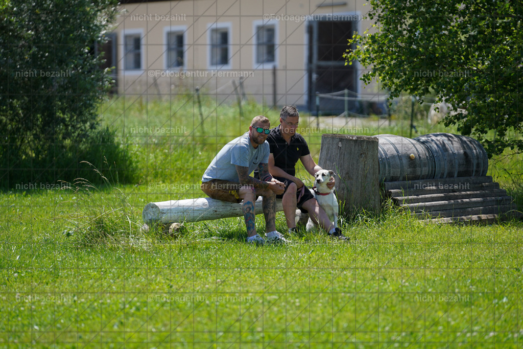 20240622-FAH07086 | Turnierfotografen Bayern, Reitsportbilder aus dem Geländekurs mit Felix Etzel auf dem Gut Waitzacker 2024