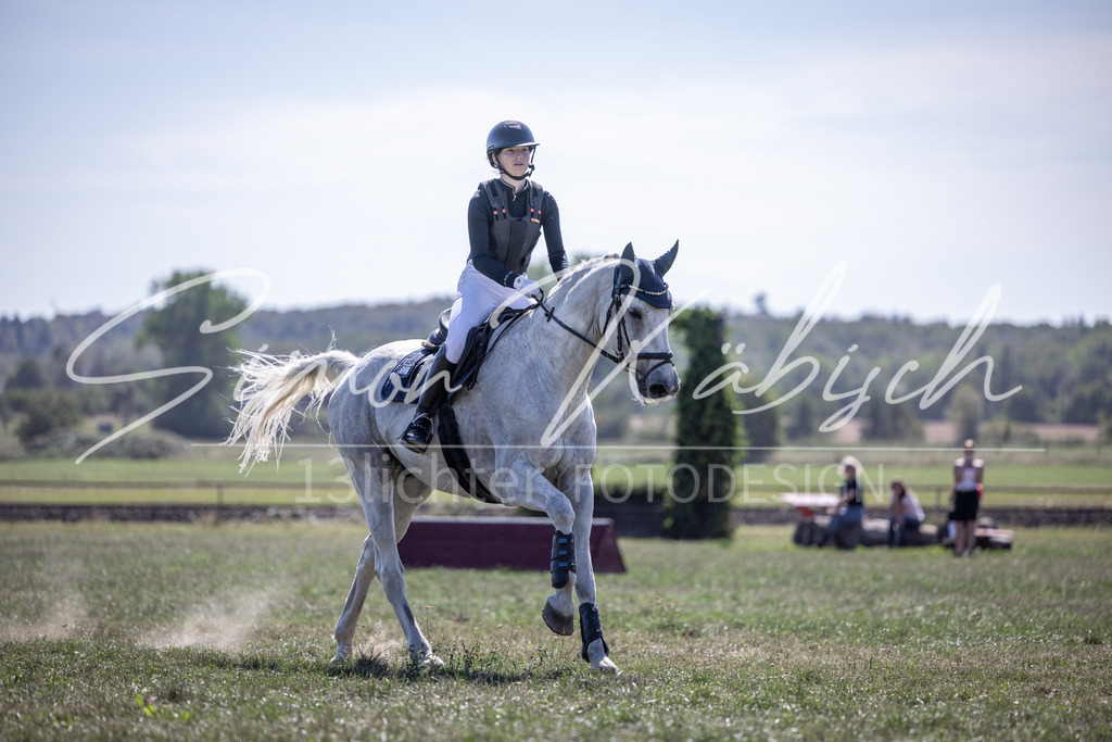 20260906-_3LI4331 | Tierfotografie Pferde, Hunde, Katzen, Haustiere.
Turnierfotografie Reitturniere, Reiten, Springreiten, Dressur in Hanau, dem Main-Kinzig-Kreis und dem Rhein-Main- Gebiet um Frankfurt