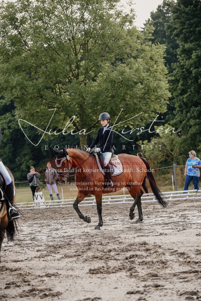 DSC_8172 | Pferde- und Turnierfotografie in Westsachsen. Pferdeportraits, Auftragszeichnungen und intuitive Kunst.