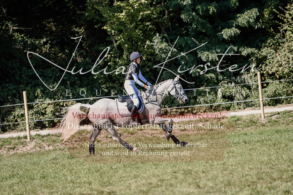 DSC_3015 | Pferde- und Turnierfotografie in Westsachsen. Pferdeportraits, Auftragszeichnungen und intuitive Kunst.