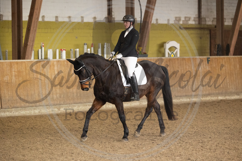 994A9021 | sabrinanicolaifotografie - Realisiert mit Pictrs.com