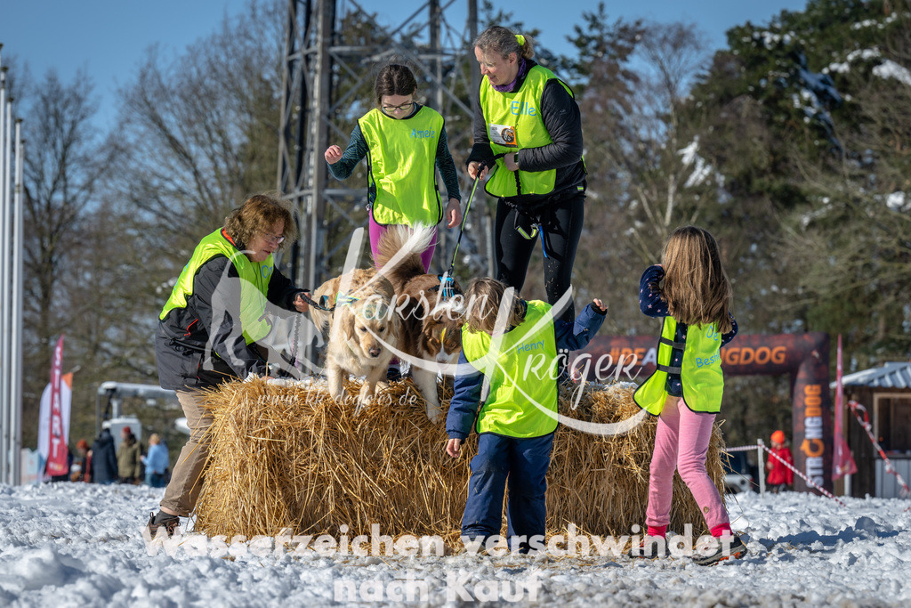 1152_ZZ91450-4 | kk-dogfotos