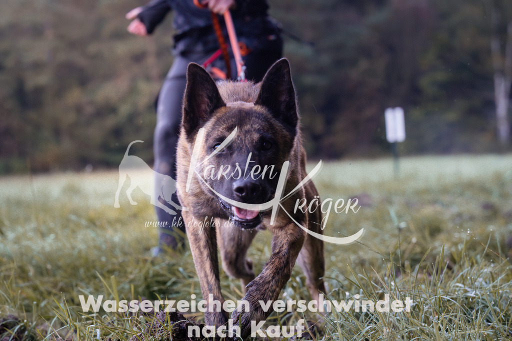 0831_ZZ90536 | kk-dogfotos