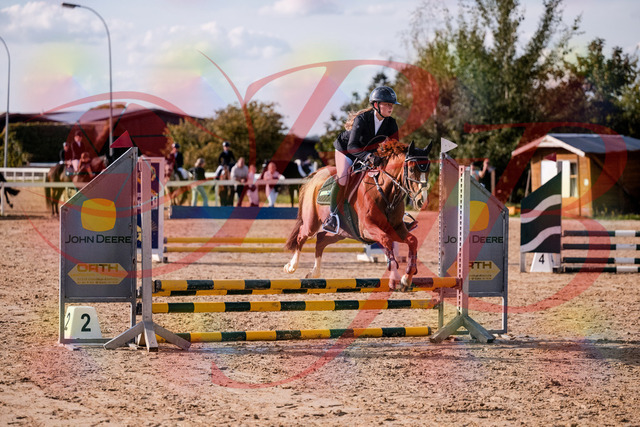 2026_10_03_Siefer-Hof_155750_Z81_77421808 | Professionelle Reitsport-, Turnier- und Eventfotografie von Robert Broda. Galerien mit ausgewählten und bearbeiteten Bildern direkt online ansehen und bestellen.