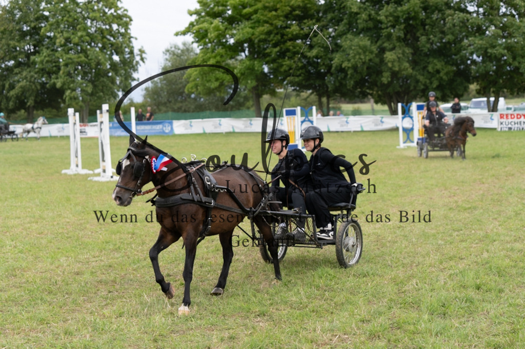 A7V06199 | Turnier/Reitfotograf