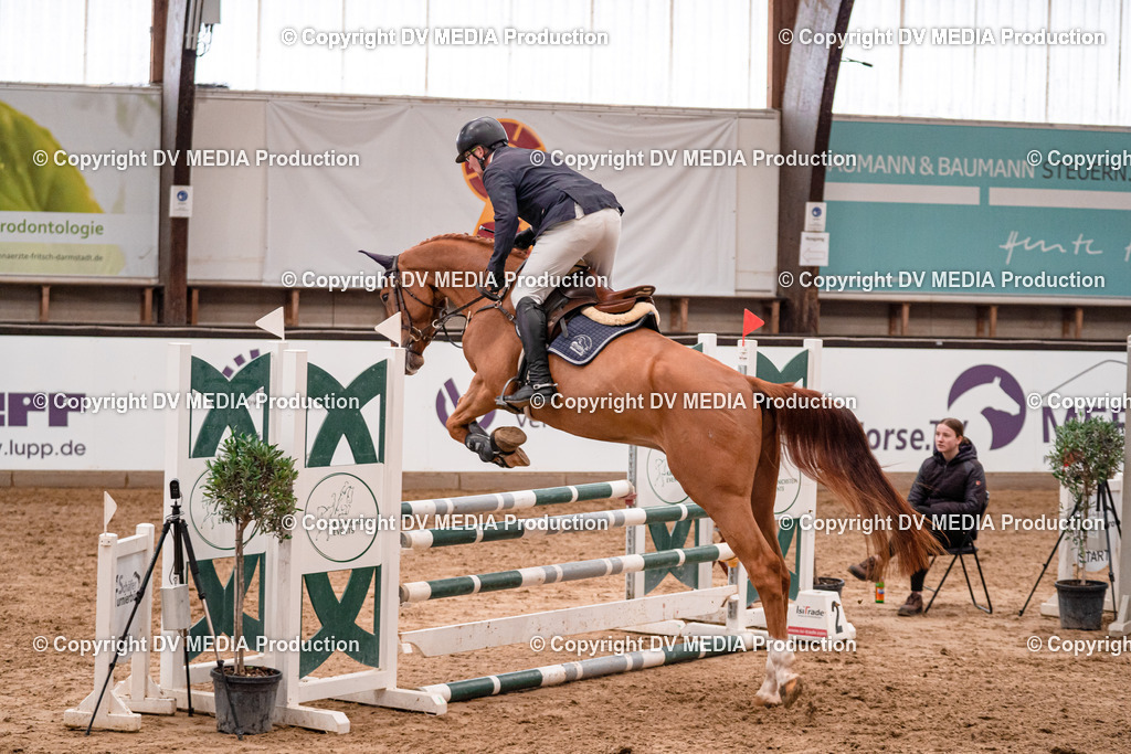 Kranichstein Tag 2-145 | dv-media-shop - Realisiert mit Pictrs.com