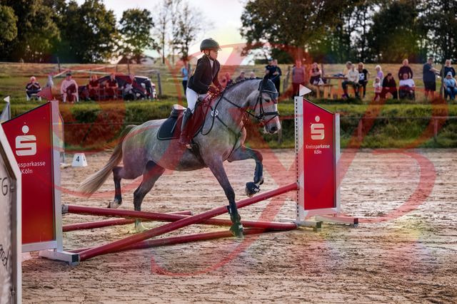 2026_10_03_Siefer-Hof_145054_Z81_29114988 | Professionelle Reitsport-, Turnier- und Eventfotografie von Robert Broda. Galerien mit ausgewählten und bearbeiteten Bildern direkt online ansehen und bestellen.