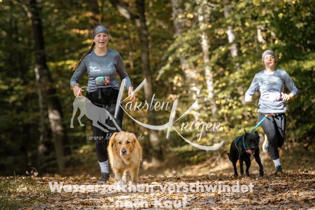 1310_ZZ97471 | kk-dogfotos