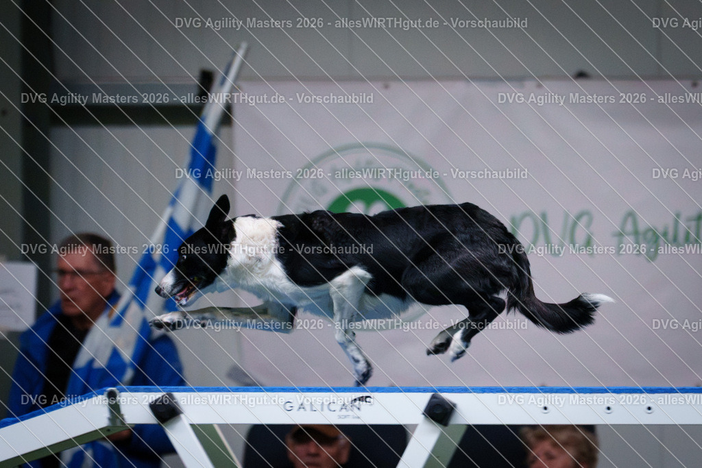 allesWIRTHgut_Tierfotografie-DVG_Agility_Masters_2026-16_18-7R507482 | Professionelle Tierfotografie in Mönchengladbach von Daniel Wirth (allesWIRTHgut). Liebevolle & natürliche Bilder von Hunden & Katzen für unvergessliche Erinnerungen.