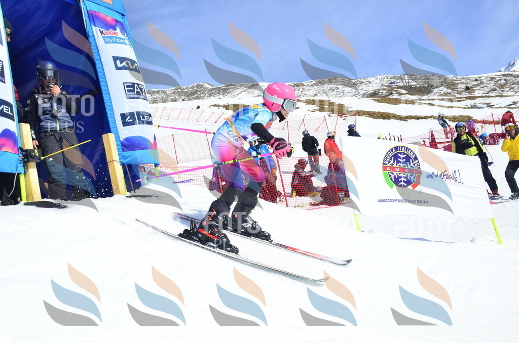 _ELE1032 | holidayphoto