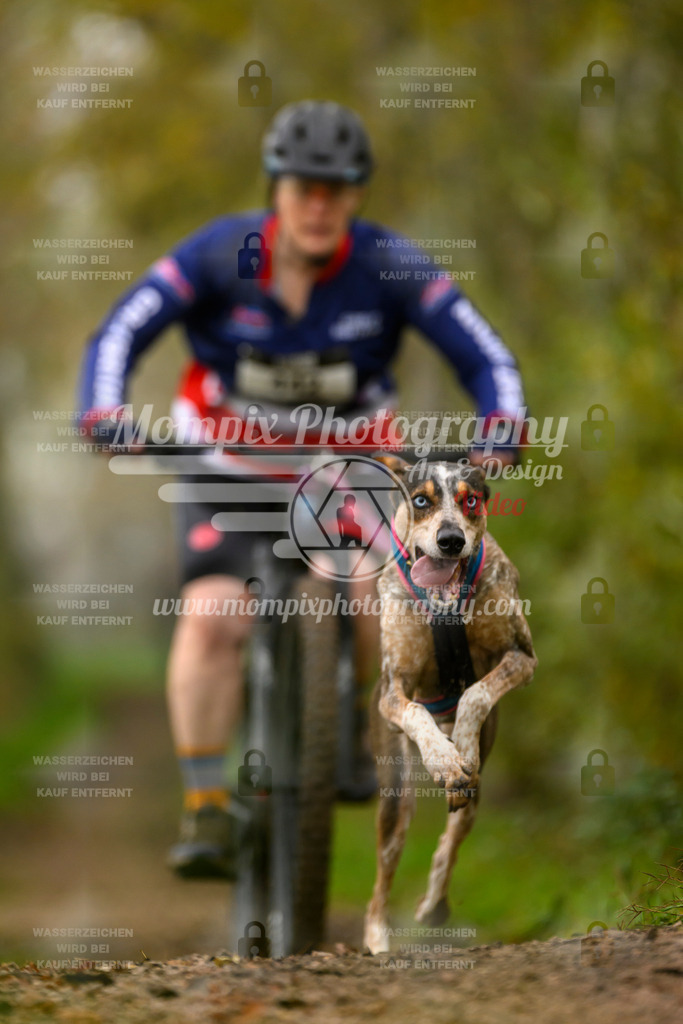 MompixPhotography_20TSB_E6_Bike-156 | PayLife