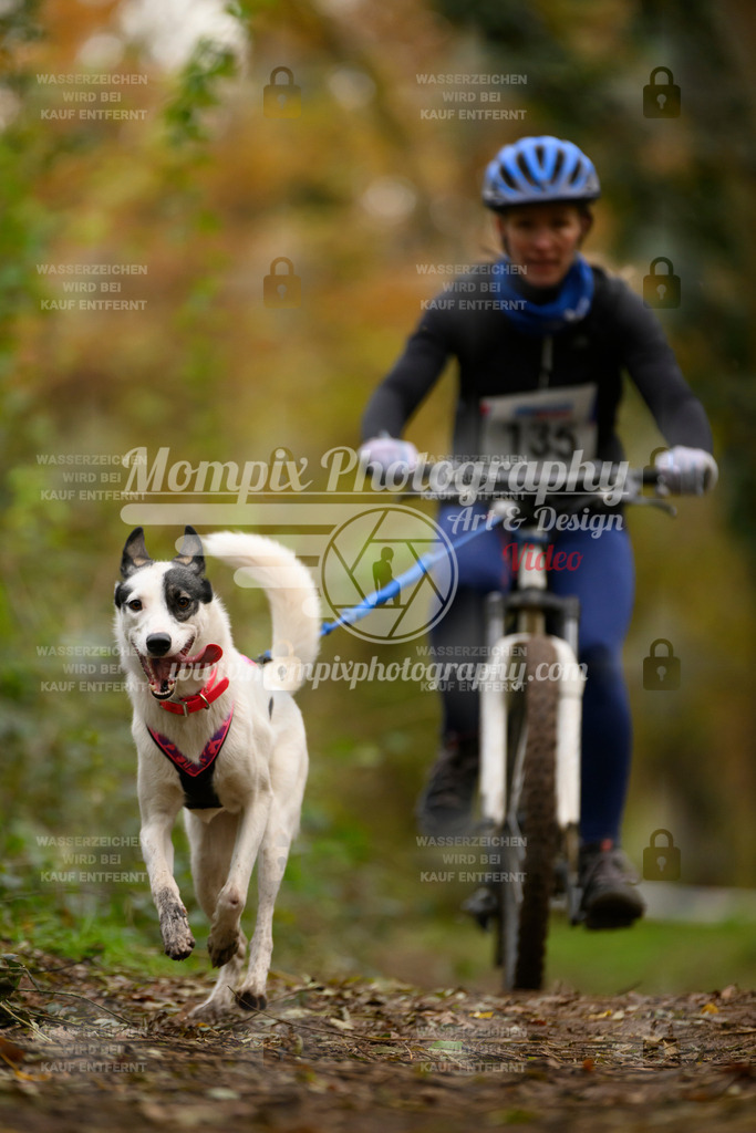 MompixPhotography_Bischwiller24_SA_VTT-73 | PayLife
