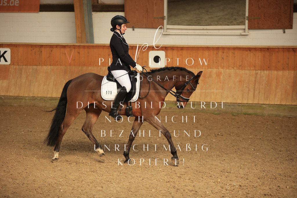 IMGT4728 | pl-fotografie