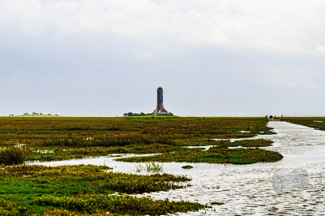 _DSC2953-2-2 | Shop für Prints Landschaftsfotografie Sächsische Schweiz Naturfotografie in Thüringen Fotos vom Findlingspark Nochten Kloster Sankt Marienstern Bilder Festung Königstein PanoramaRhododendronpark Kromlau FotogalerSchleswig-Holstein Küstenlandschaften