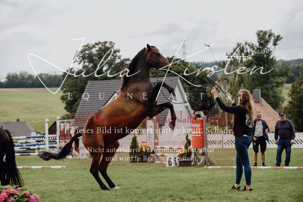 DSC_3961 | Pferde- und Turnierfotografie in Westsachsen. Pferdeportraits, Auftragszeichnungen und intuitive Kunst.