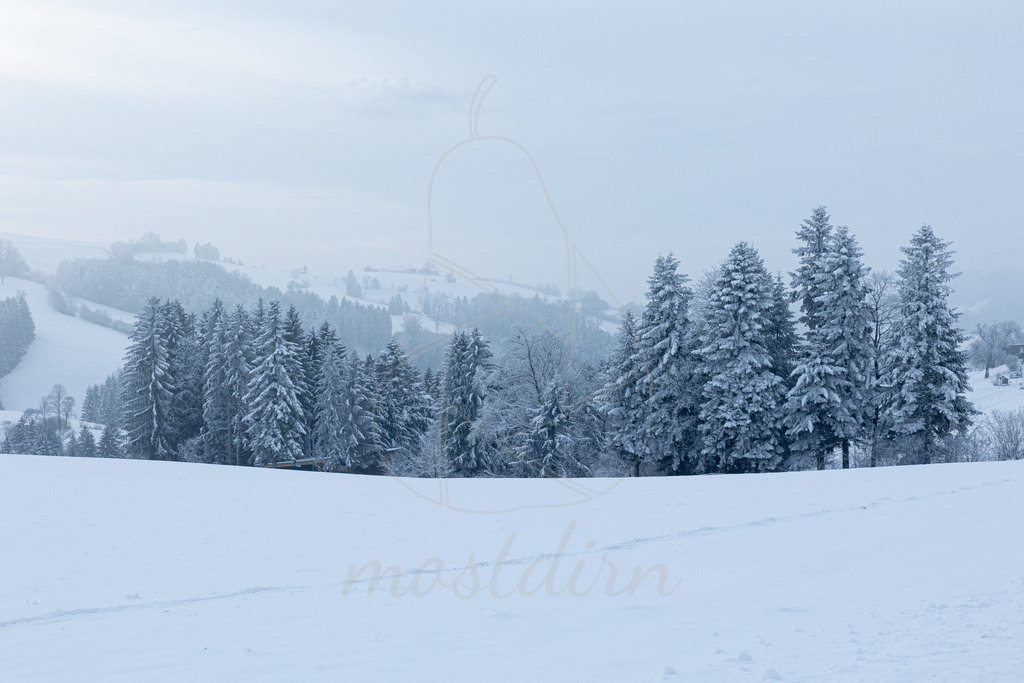 Winterstimmung Panoramahöhenweg | Bei Veröffentlichung des Bildes ist eine Namensnennung wie folgt erforderlich: 
Foto: Mostdirn Irmgard Wieser - Realisiert mit Pictrs.com