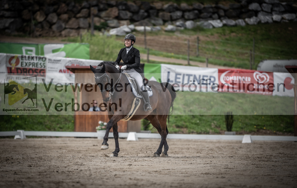 DSC_2941 | equestrian-live-com