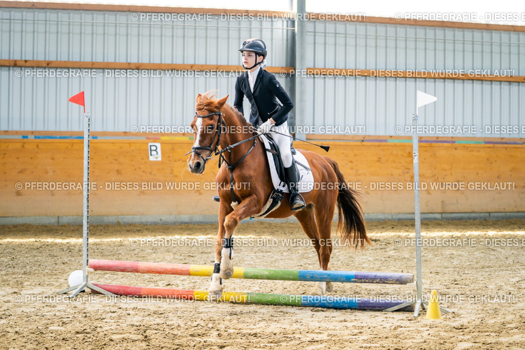 DSC01669 | Pferdegrafie