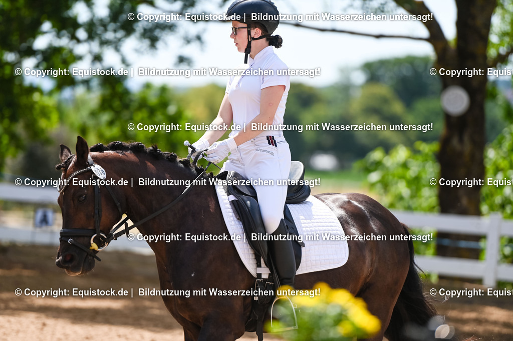 20230715_09_Dressur-WB_0234 | equistock