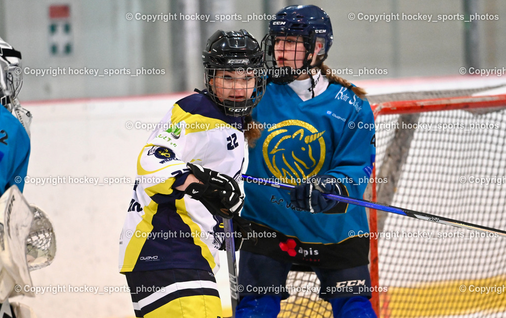BST_6473 | hockey sports photos, Pressefotos, Sportfotos, hockey247, win 2day icehockeyleague, Handball Austria, Floorball Austria, ÖVV, Kärntner Eishockeyverband, KEHV, KFV, Kärntner Fussballverband, Österreichischer Volleyballverband, Alps Hockey League, ÖFB, 