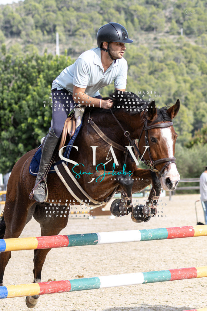 IMG_3475 | s-jay-photography - Realisiert mit Pictrs.com