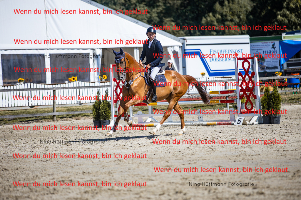 BK1A5563 | Turnierbilder Turnierfotos Nina Hüffmann Turnierfotografie Pferdefotografie Tierzeichnung Haustierzeichnung Pferdezeichnung Hundezeichnung Videograf  - Realisiert mit Pictrs.com
