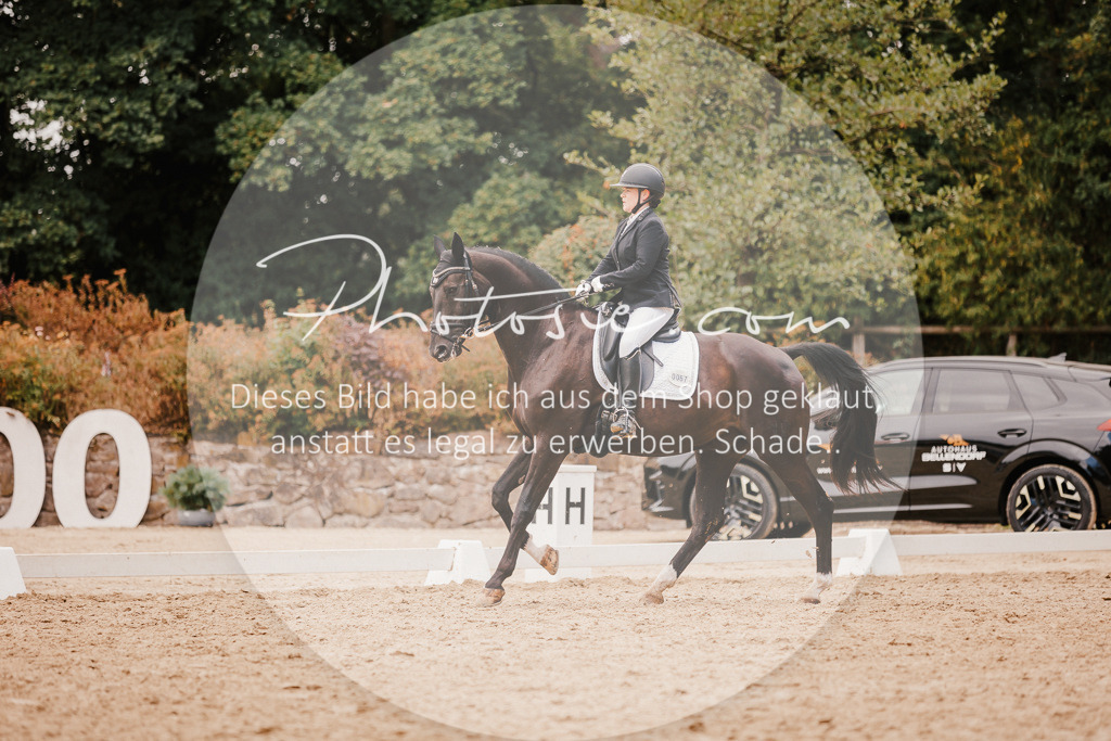 3I6A5986 | Stimmungsvolle Portraits und Reitsportfotografie im Ruhrgebiet und im Münsterland.

Pferdefotografie, Hundefotografie, Tierfotografie, Reportagen, Portraits von Tier und Mensch, Turnierfotografie in Bochum, Recklinghausen, Marl, Haltern am See, Dülmen.. - Realisiert mit Pictrs.com