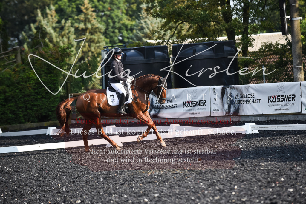 DSC_3256 | Pferde- und Turnierfotografie in Westsachsen. Pferdeportraits, Auftragszeichnungen und intuitive Kunst.